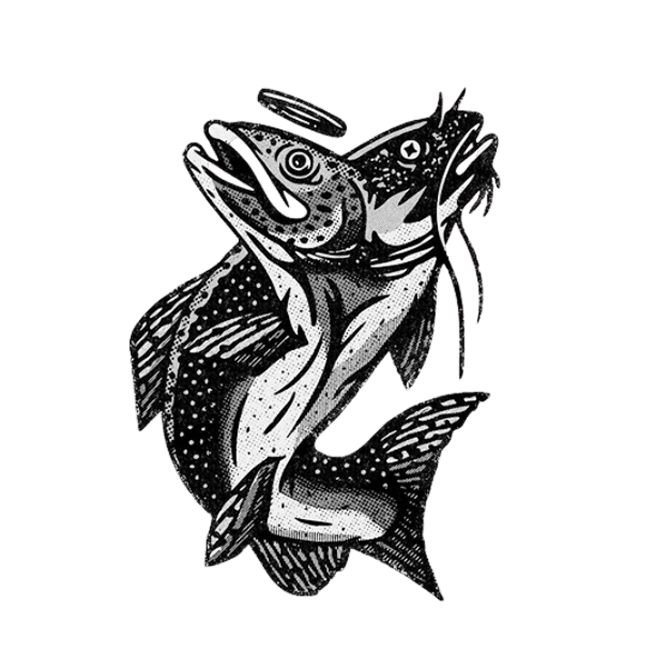 mahi-mahi fish image