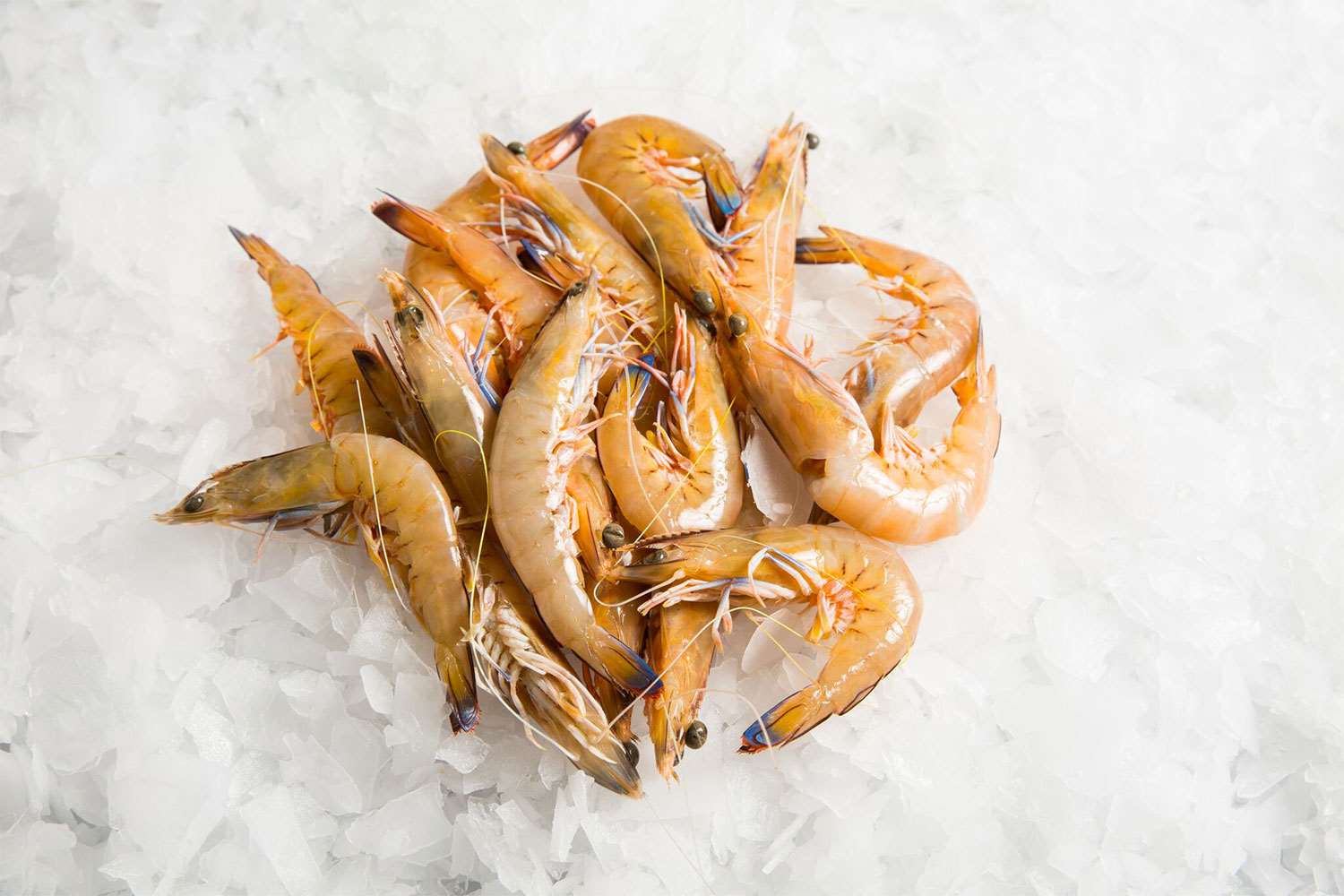 Fresh King Prawn Green Medium Order now. Same day delivery!