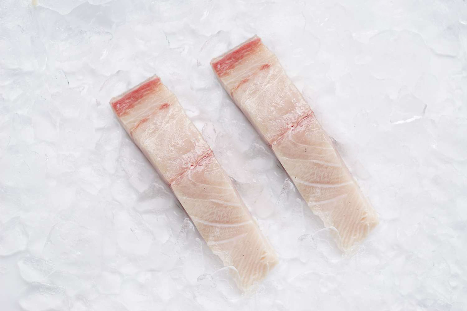 Buy Hiramasa Kingfish Fillets Frozen Seafood