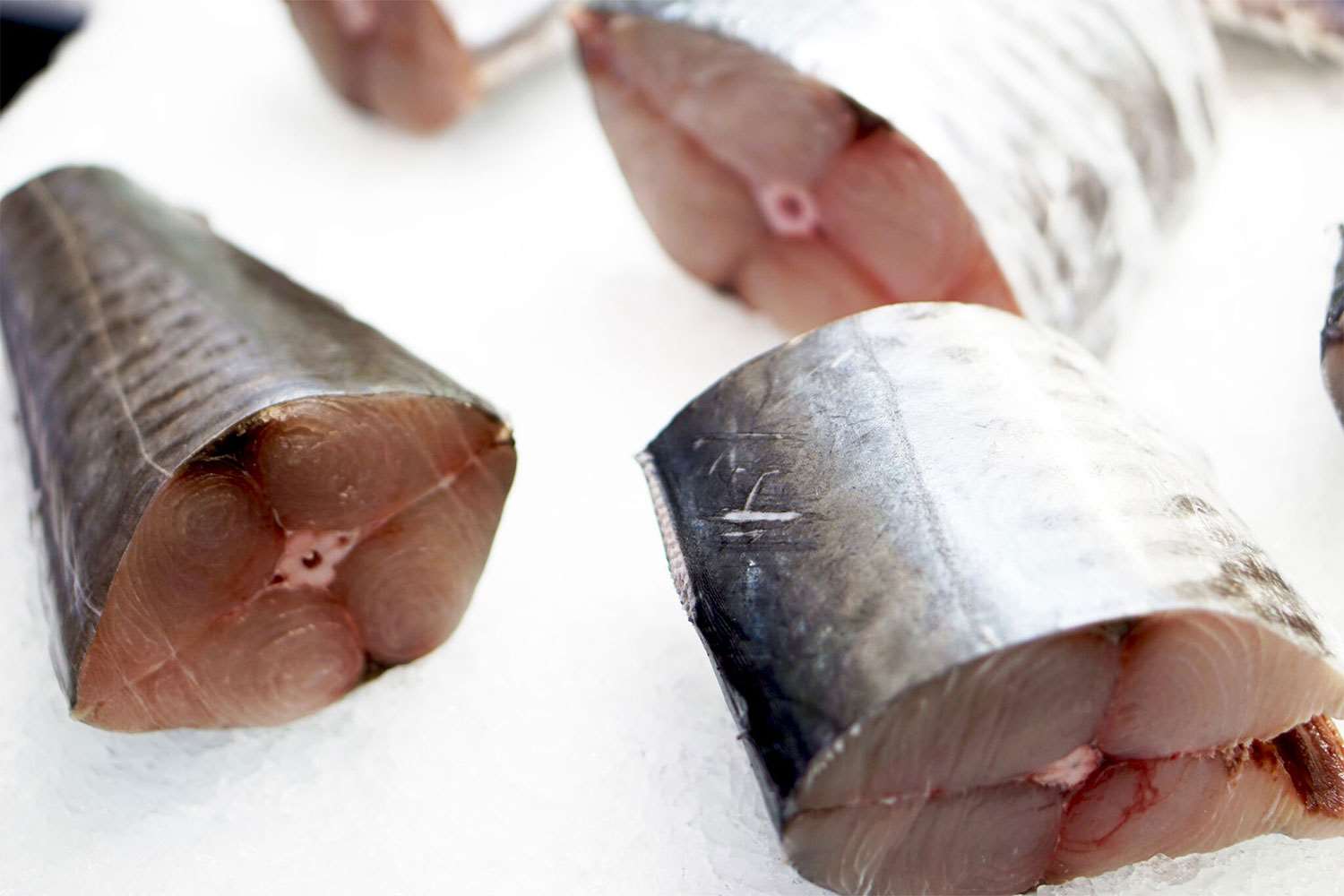 Spanish Mackerel Fish Fillet Delivery Sydney Seafood