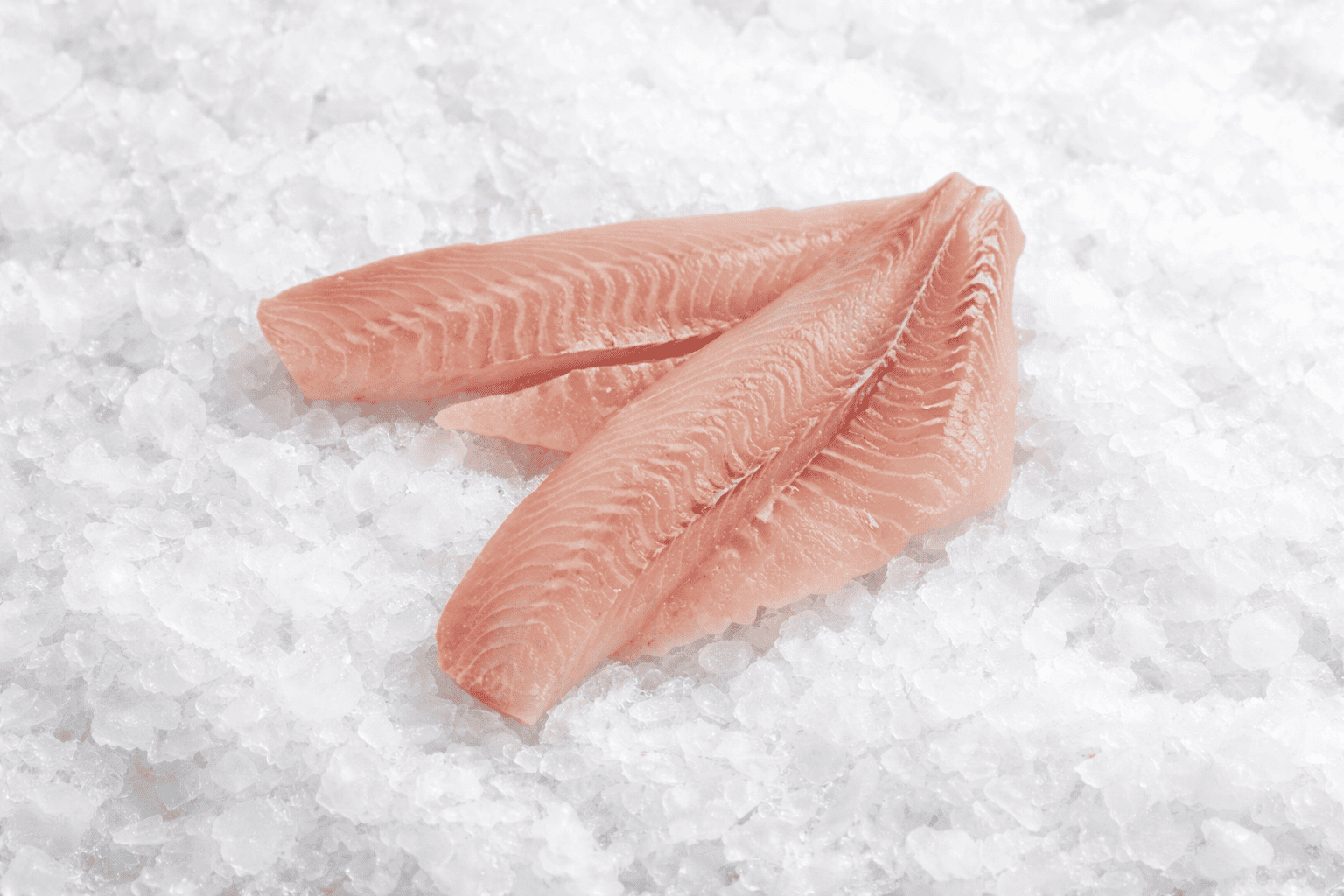 Tarakihi Fillets Frozen